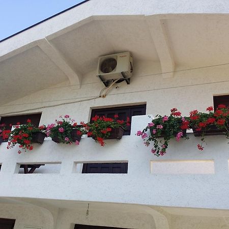 Apartman Tripkovic Bar Exterior foto
